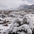 Thanksgiving 2019 snowfall melts away