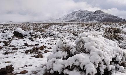 Thanksgiving 2019 snowfall melts away