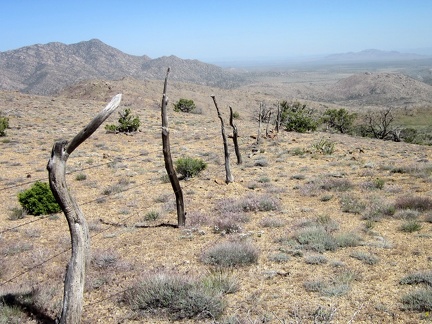 Historic fencing