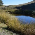 Redfern Pond