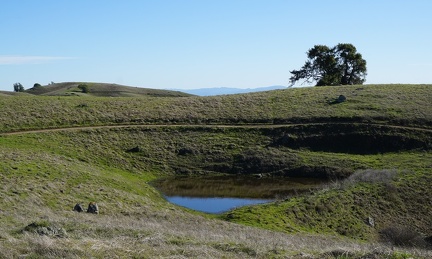 Pond at Wagon Road/Phegley junction