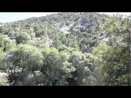 Arriving Keystone Spring, Mojave National Preserve: water!