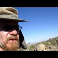 I hike across the New York Mountains foothills back to my tent, slowly, to preserve energy, Mojave National Preserve