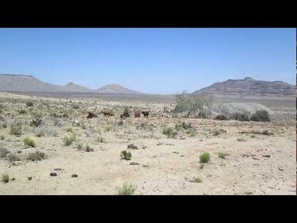 Water tank and windmill on Gold Valley Road, Mojave National Preserve