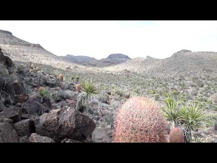 As I prowl around the hills here, I look over toward Grass Canyon, the next canyon over