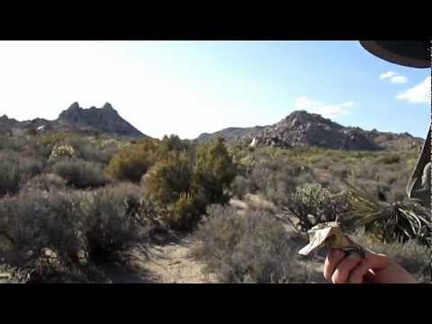 Energy-bar break above Watson Wash!