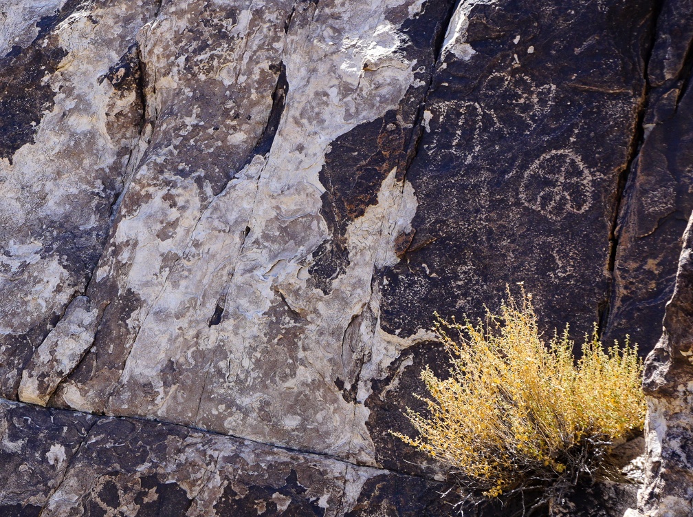 Petroglyphs and chipped rock