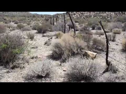 I encounter a barbed-wire fence shortly after I start today's hike toward Woods Wash; I find a spot where I can crawl under it