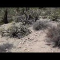 Hiking down Woods Wash, I take a look around the historic site and start hiking up an unnamed side canyon