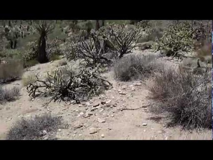 Hiking down Woods Wash, I take a look around the historic site and start hiking up an unnamed side canyon