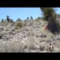 At a bend in the canyon, I decide to climb up the hill where it's not too steep to get some views of the area