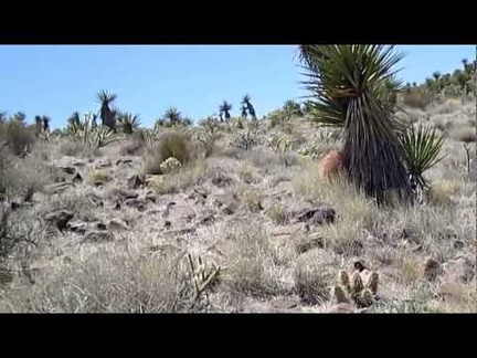 At a bend in the canyon, I decide to climb up the hill where it's not too steep to get some views of the area