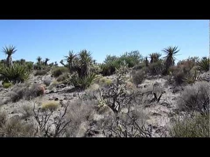 After a break to enjoy the summit of Tortoise Shell Mountain, I start my way back down to Woods Wash