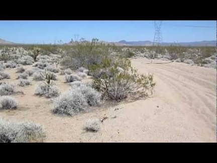 I take a short energy-bar break in a sandy wash in Woods Wash Valley just before reaching the powerline road