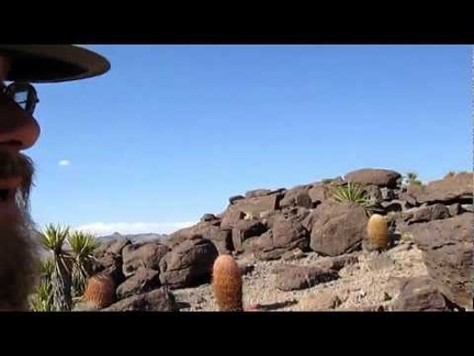 Before I leave the Cave Spring area, I hike up onto a low mesa above the old road