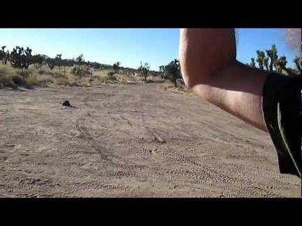 I take at break at the junction of the Mojave Road and Ivanpah Road