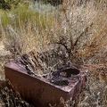 Desert brush takes over an old stove in the Death Valley National Park backcountry