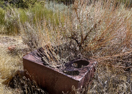 Desert brush takes over an old stove in the Death Valley National Park backcountry