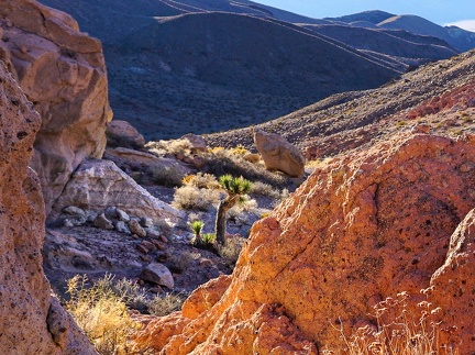 End-of-day light hits the upper reaches of the canyon