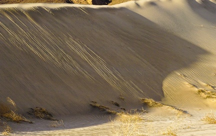 Dune slide