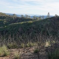 Blue Ridge, Henry Coe State Park