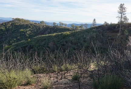 Blue Ridge, Henry Coe State Park