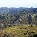 Miller Field, Henry Coe State Park