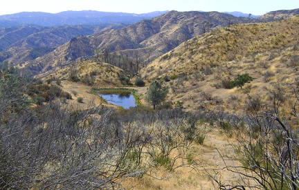 Snod Pond, Henry Coe State Park, September 2009