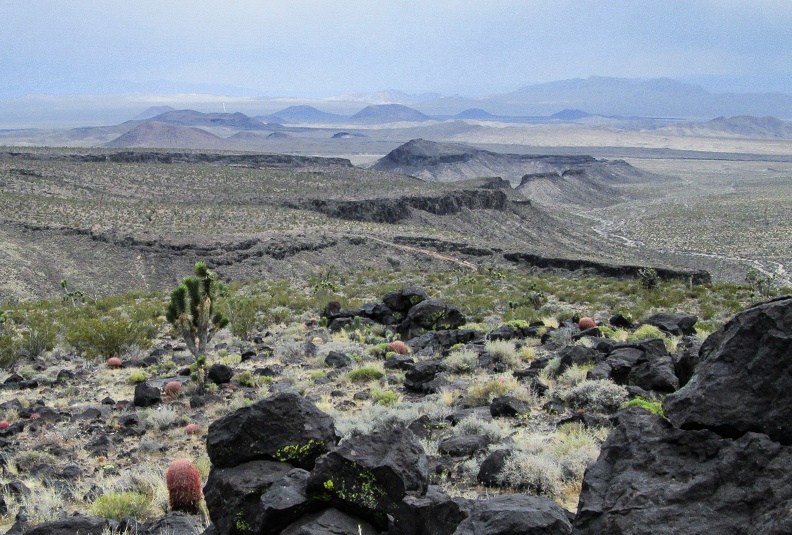 Club Peak area, Mojave National Preserve