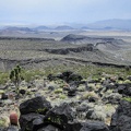 Club Peak area, Mojave National Preserve