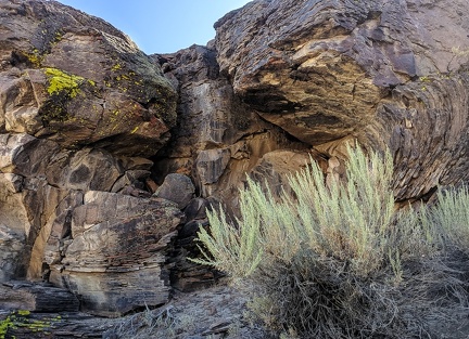 Sagebrush and dry waterfall