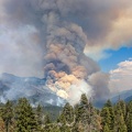 The Douglas Fire, seen from California Hwy 108, August 31, 2017