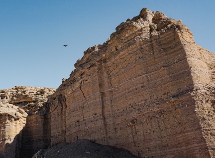 An annoyed raven circles above and squawks repeatedly as I hike through its territory in Death Valley National Park