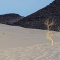 Dunes and basalt at the end of the day
