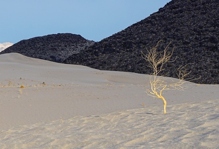 Dunes and basalt at the end of the day