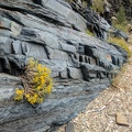 "Bench Canyon" in the White Mountains