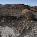 Grass and drainage, Death Valley National Park