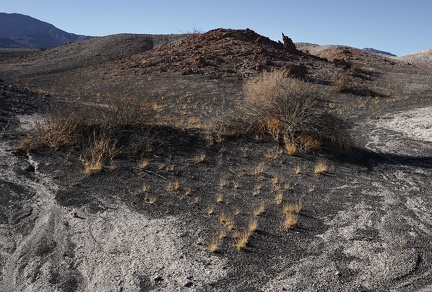 Grass and drainage, Death Valley National Park