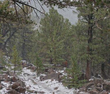 Snowfall, Mount Jefferson, Nevada, August 2022