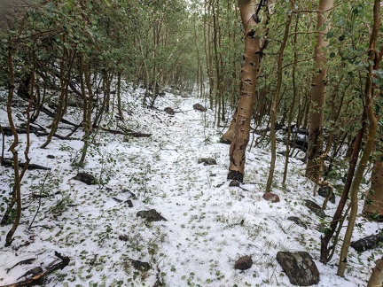 Snowfall, Mount Jefferson, Nevada, August 2022