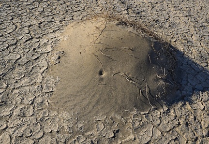 Very small sand dune