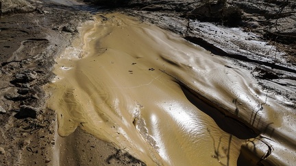 A post-rain mud flow begins to dry