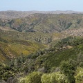 View from Mount Sizer area