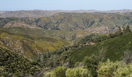 View from Mount Sizer area