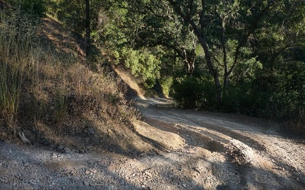 Hobbs Road, on the way up to Blue Ridge