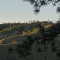 Blue Ridge, Henry Coe State Park