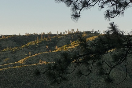 Blue Ridge, Henry Coe State Park