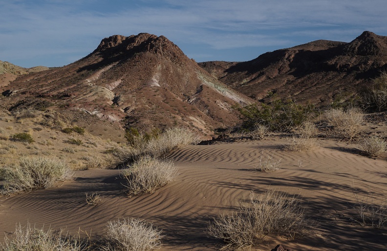 At the edge of a Mojave Desert sand drift