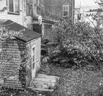 Rear view, 2521 and 2525 Barrington St, Halifax, 1982