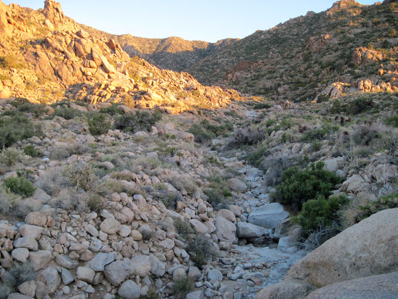 I look back up the dry creek bed and at the hills behind collecting the sunset